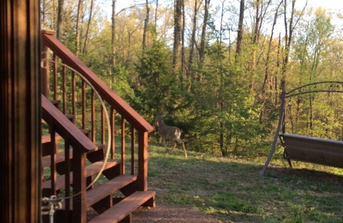 Franklin Maison | Beautiful private 2 bdrm apartment in a beautiful wooded setting