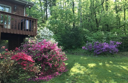 Franklin Maison | Beautiful private 2 bdrm apartment in a beautiful wooded setting