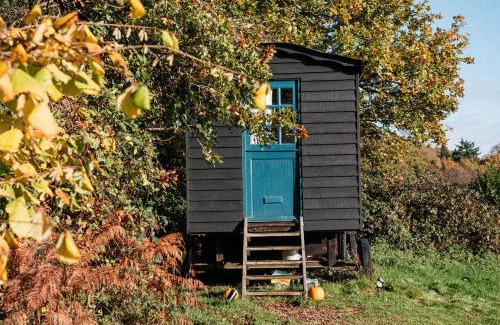 Liss Autre | Beautiful, Secluded Shepherd's Hut in the National Park