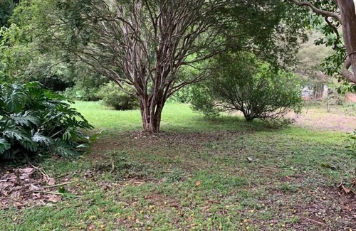 Conservatoria Maison | Beautiful site in Conservatória with swimming pool and barbecue area. Totally private!
