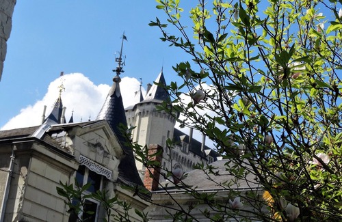 Saumur Appartement | Beau studio entre Chateau et Loire