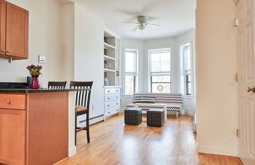 Mid-Cambridge Copropriété | Beautiful sunny apt right across Harvard yard