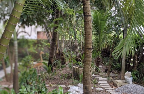 Maria Farinha Maison | Beautiful tropical garden seconds to the beach