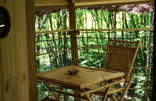 Salles-en-Toulon Maison | Cabane de la Hulotte 2 personnes