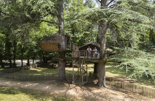 Salles-en-Toulon Maison | Cabane de la Hulotte 2 personnes