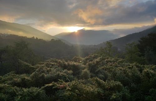 Cittaducale Maison | bed and breakfast "il Picchio Verde"