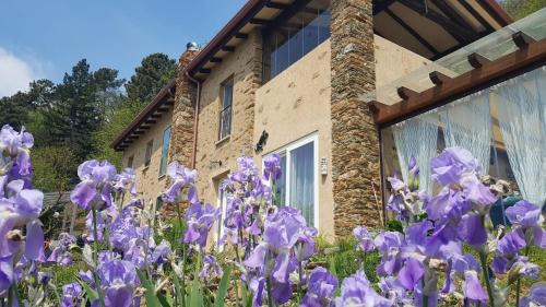 Seravezza Lit Et Petit-Déjeuner | Bed and Breakfast Tenuta delle Stelle