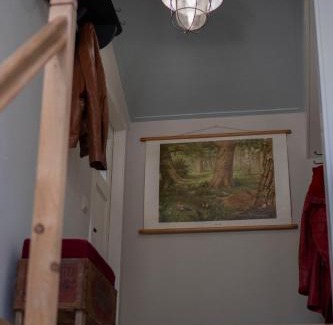 Rolde Appartement | Bed, Boom en Droom