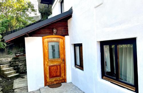 Busteni Cabine | Beduin Vila