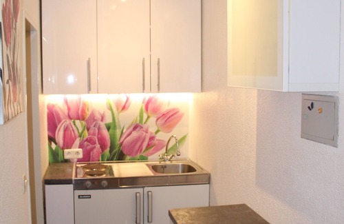 Braunlage Appartement | "Hêtre" Petit mais bel appartement 1 pièce / WiFi