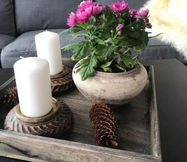 Beitostolen Appartement | Beitotind sentralt på Beitostølen