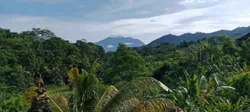 Sidemen Maison | Beji Ayu Villas Sidemen