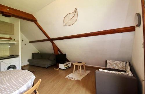Peyragudes Appartement | Bel appartement T2 cabine