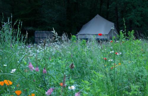 Champagnac-de-Belair Autre | Belair le Camping