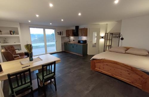 Uerzig Cabine | BelaVista'nBed - Peaceful Studio with private Terrace and Amazing Mosel Valley Views