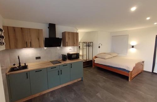 Uerzig Cabine | BelaVista'nBed - Peaceful Studio with private Terrace and Amazing Mosel Valley Views