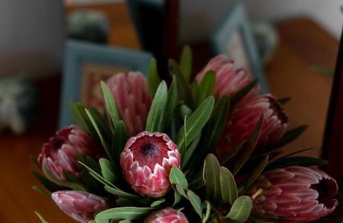 Grabouw Maison | Belfield Wines and Farm Cottages