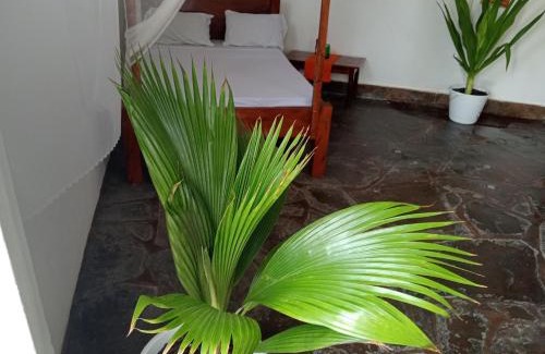 Malindi Appartement | Bella Casa Malindi Casuarina