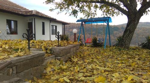 Hlevene Maison | Bella House