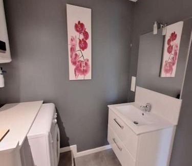 Saint-Jean-d'Angely Maison | Belle maison au bord du plan d'eau