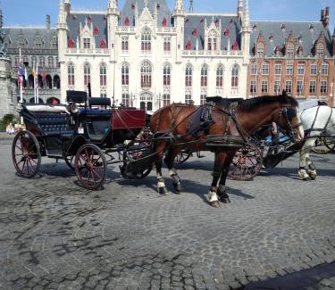 Oostkamp Maison | Belle Vie Comfortable guest house near Bruges