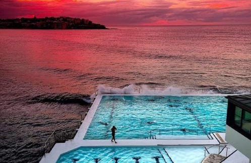 Bellevue Hill Appartement | Bellevue Hill Close BONDI Beach Up to 2 guests