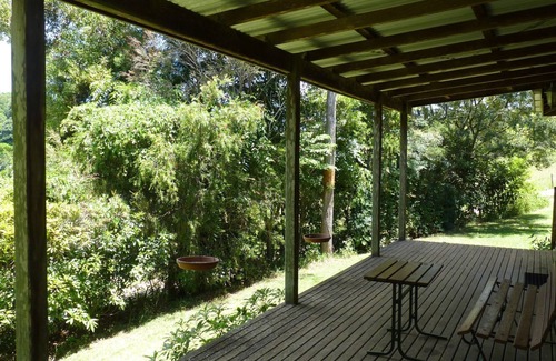 Bellthorpe Cottage | Autonome, cabine 1 chambre - cascades, forêt tropicale, faune, sentiers pédestres