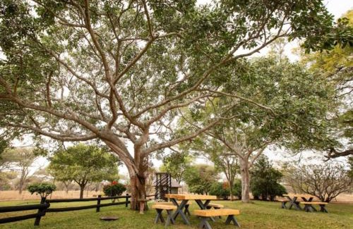 Louis Trichardt Maison | BelofteBos Farmhouse Inn