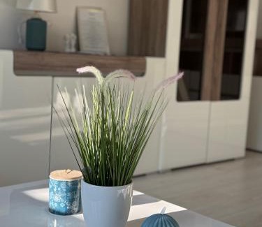 Baja Appartement | Belvárosi Luxus Apartman