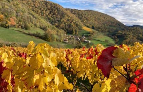 Boyeux-Saint-Jerome Maison | Belvédère du Haut Bugey - Refuge dans les cépages