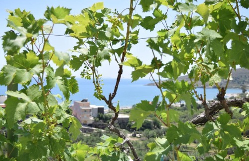 Qeparo Maison | Belvedere Adriatica