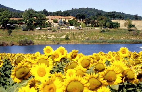 Casole d'Elsa Villa | Villa de luxe avec piscine à Casole d'Elsa en Toscane