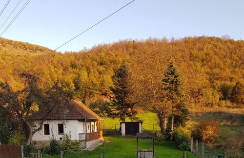 Erdohorvati Appartement | Berényi apartman