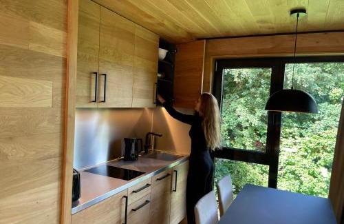 Annweiler am Trifels Maison | Bergchalet auf Stelzen