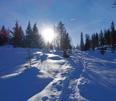 Arzl im Piztal Appartement | Bergheim