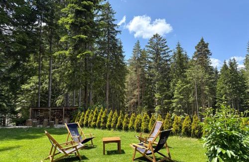 Panichishte Hôtel | Berghof Eva - Hotel