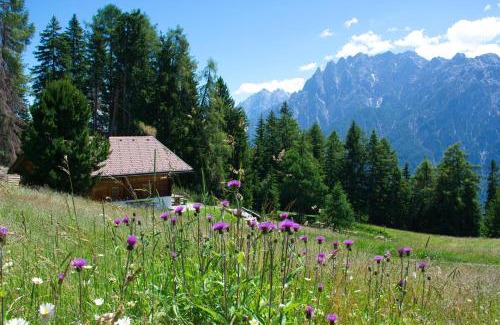 Assling Chalet De Ski | Bergquellenhütte