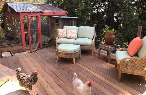 Berkeley Hills Maison | Berkeley Hills 3bd, 2.5 bath home: Bay views, charm meets nature and luxury
