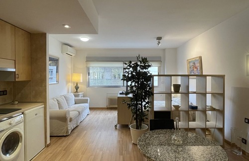 El Viso Appartement | Bernabéu Loft Moderno Serrano