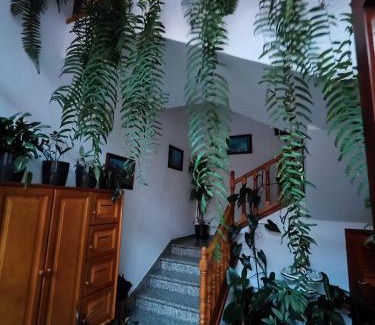 San Andres y Sauces Appartement | Bernal I, II y III