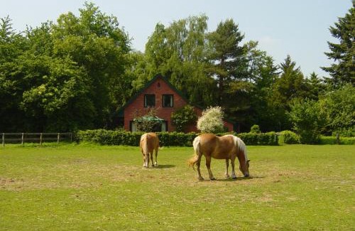 Lindern Maison | Bernard Meyborg