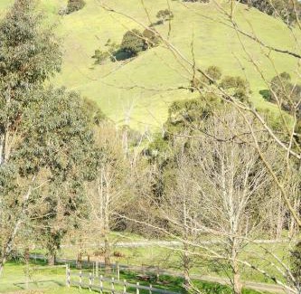 Strath Creek Lit Et Petit-Déjeuner | Berner B&B, Halls on Falls Homestead