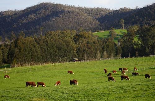 Strath Creek Lit Et Petit-Déjeuner | Berner B&B, Halls on Falls Homestead