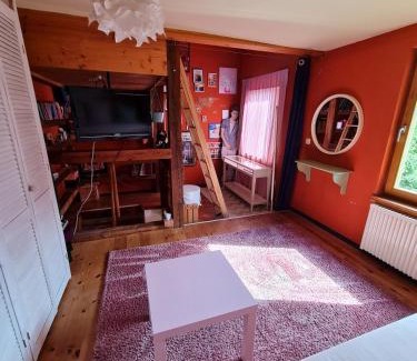 Greifswald City Centre Appartement | Berthi's Townhouse in city center