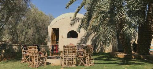Siwa Cabine | Best One - بيست ون