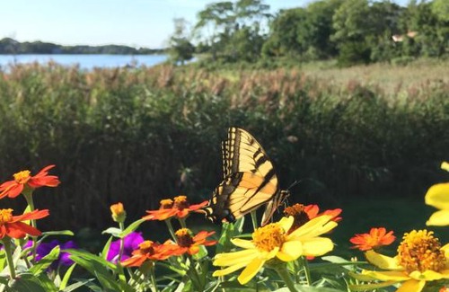 Sag Harbor Lit Et Petit-Déjeuner | best view