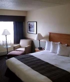 Bemidji Hôtel | Best Western Bemidji