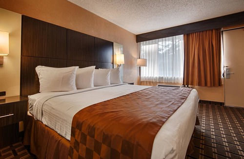 Cairo Hôtel | Best Western Executive Inn