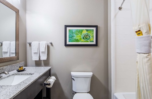 North by Northwest Hôtel | Best Western Plus Tech Medical Center Inn