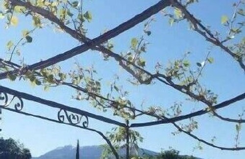 Faucon Maison | Entre Vaison et Mont-Ventoux, Mas provençal à l'orée du village de Faucon